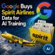 Google buys Spirit Airlines data for AI training, with Spirit plane, branded folder, and AI graphics